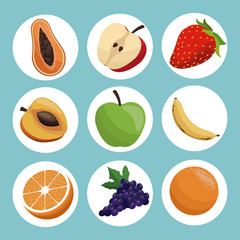 set healthy fruit eating vector illustration eps 10