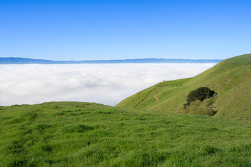 sierra vista open space