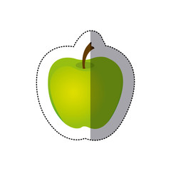 sticker colorful realistic green apple fruit vector illustration