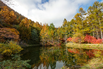 まゆみ池・安曇野