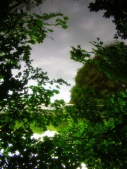 Beauty in nature