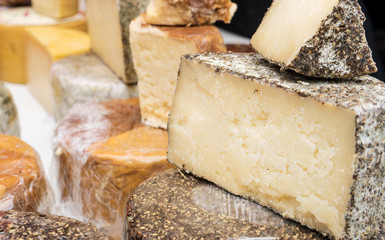 hard cheese / Different sorts of hard cheese as pieces 