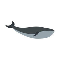 Whale icon, flat style