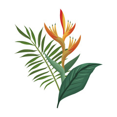 bird of paradise flower and leaves palm vector illustration eps 10