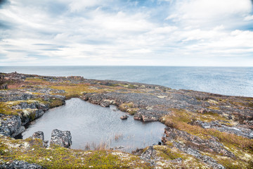 Arctic Ocean shore