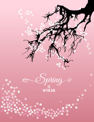Spring is in the air nature greeting card with lettering element. Beautiful Japanese cherry tree (sakura) abstract background. Vector illustration
