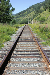 Picture of nature with empty railway