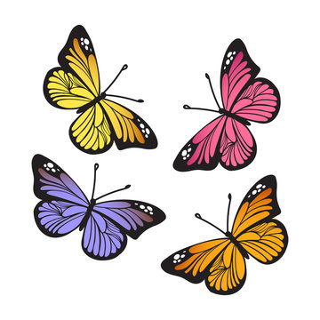 Stylized Monarch Butterflys isolated on white background set. Vector illustration