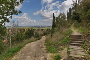 Dirt road among green grass and trees