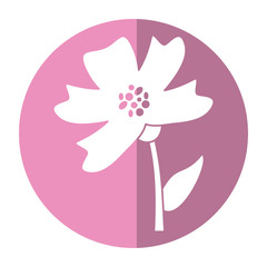 periwinkle flower decoration image shadow vector illustration eps 10