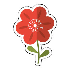 cartoon petunia flower decoration image vector illustration eps 10