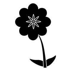 canna flower decoration silhouette vector illustration eps 10