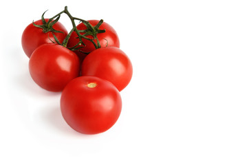 Tomatoes cherry branch isolated on white background