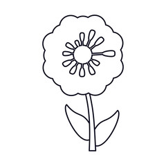 pansy flower decoration line vector illustration eps 10