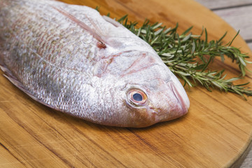 Red snapper with rosemary on plate