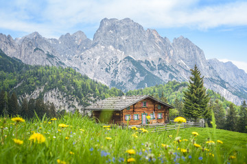 Traditional austrian alpine cabin, Salzburger Land, Austria