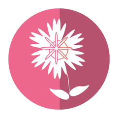 magnolia flower natural shadow vector illustration eps 10