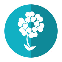 flower ornament natural shadow vector illustration eps 10