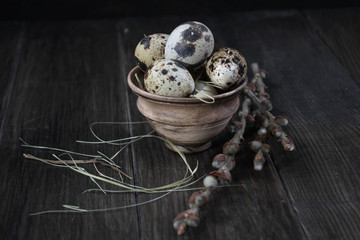 Easter composition with quail eggs and twigs of willow blossom