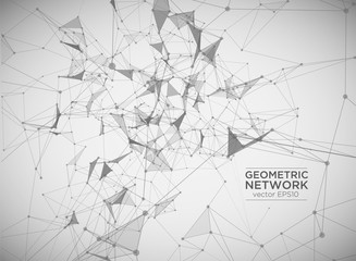 Connecting network vector