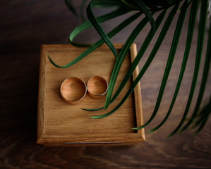 Green leaves hang over golden wedding rings on wooden box