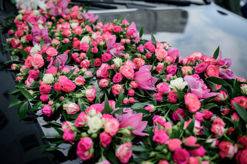 Pink roses and tulips lie on black car hood