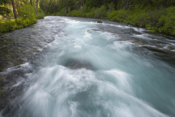 Beautiful blue water of the Metolius River, Sisters, Oregon Cascades