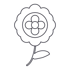 aster flower natural outline vector illustration eps 10