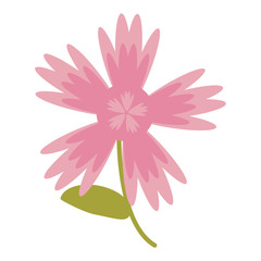 pink flower natural image vector illustration eps 10