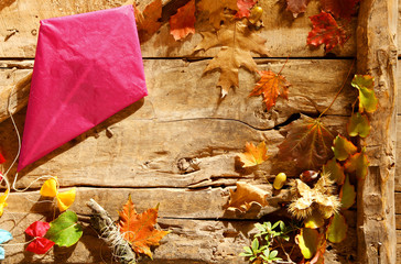 Colorful pink paper kite in an autumn border