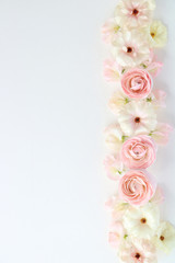 Beautiful pink and white ranunculus flowers, sweetpea flowers on white background,top view 