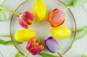 Bunte Tulpen liegen im Kreis