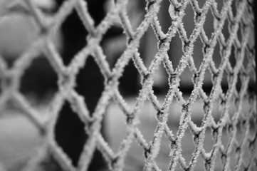 frosty wire-netting fence