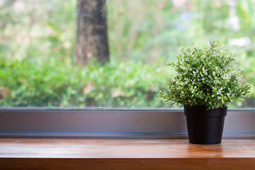 Fototapeta premium Tree in pot on floor And natural scenery outside