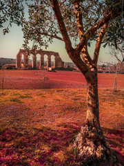 Roman aqueduct