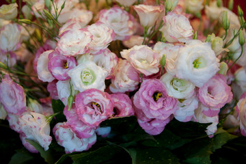Bouquet of white and pink roses