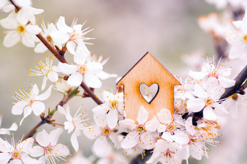 Wooden house with hole in form of heart surrounded by flowering branches of spring trees - 140058786