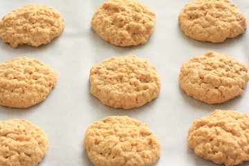 home bakery oat cookie