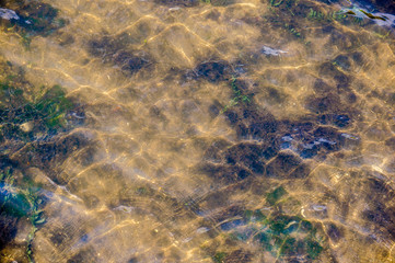crystal clear water in Florida