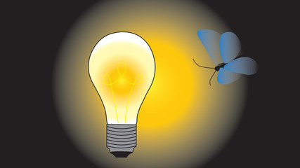 The night butterfly flies to a glowing electric bulb.