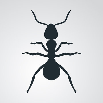 Icono plano silueta hormiga en fondo degradado