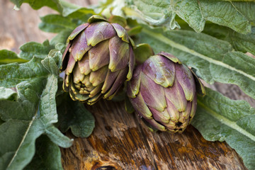Obraz premium Artichokes
