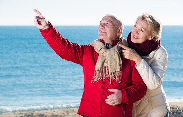 Mature couple pointing on beach