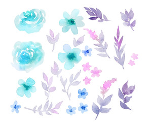 Fototapeta na wymiar Floral set of elements: flowers, leaves in pastel colors. Watercolor illustration