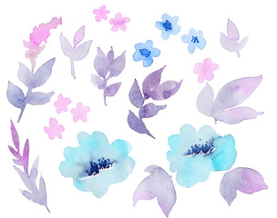 Floral set of elements: flowers, leaves in pastel colors. Watercolor illustration
