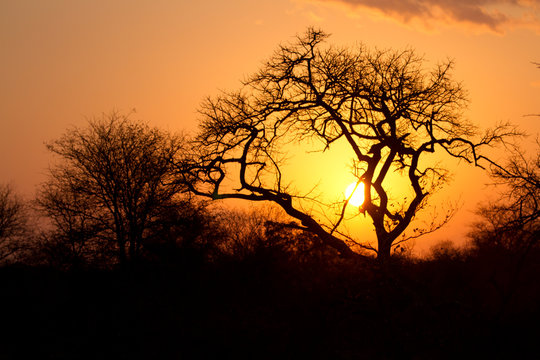 sunset in the kruger national park south africa