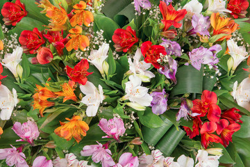 Background of flowers Alstroemeria - 140063120