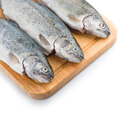 Three trout fish on the white background