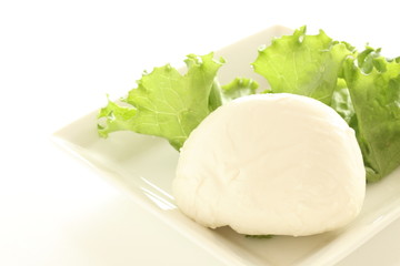 mozzarella cheese 