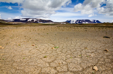 Patternd ground with polygons in beautiful primordial icelandic highland. Iceland